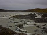 IMG 8991