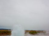 IMG 9020