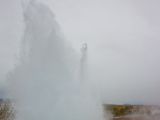 IMG 9021