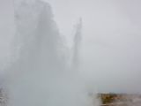 IMG 9022