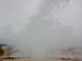 IMG 9025
