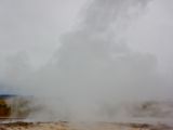 IMG 9026