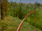 IMG 9172