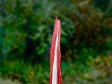 IMG 9173