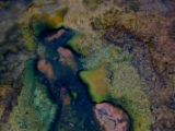 IMG 9183