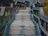 IMG 9191