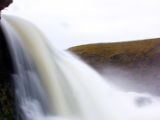 IMG 9217