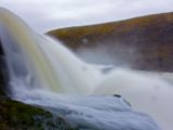 IMG 9218