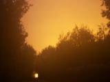 IMG 9304