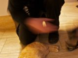 IMG 9324