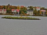 IMG 9418