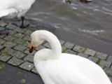 IMG 9444