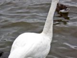 IMG 9445