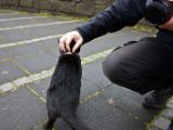 IMG 9453