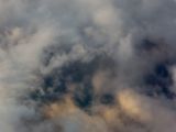 IMG 9557