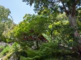 20130806-IMG 0923 : Japan, Kyoto, Shrine, Temple