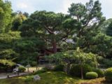 20130806-IMG 1005 : Japan, Kyoto, Shrine, Temple