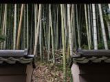 20130806-IMG 1045 : Japan, Kyoto, Shrine, Temple