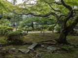 20130806-IMG 1069 : Japan, Kyoto, Shrine, Temple