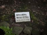 20130807-IMG 1265 : Japan, Kyoto, Kyoto Tower, Temple