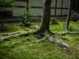20130807-IMG 1350 : Japan, Kyoto, Kyoto Tower, Temple