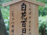20130808-IMG 1634 : Arashiyama, Bamboo Grove, Japan, Kyoto, Shrine, Temple