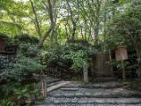 20130808-IMG 1677 : Arashiyama, Bamboo Grove, Japan, Kyoto, Shrine, Temple