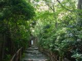 20130808-IMG 1678 : Arashiyama, Bamboo Grove, Japan, Kyoto, Shrine, Temple