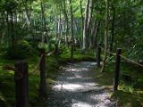 20130808-IMG 1703 : Arashiyama, Bamboo Grove, Japan, Kyoto, Shrine, Temple