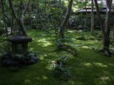20130808-IMG 1704 : Arashiyama, Bamboo Grove, Japan, Kyoto, Shrine, Temple