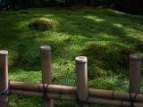 20130808-IMG 1731 : Arashiyama, Bamboo Grove, Japan, Kyoto, Shrine, Temple