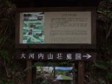20130808-IMG 1769 : Arashiyama, Bamboo Grove, Japan, Kyoto, Shrine, Temple