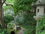 20130808-IMG 1771 : Arashiyama, Bamboo Grove, Japan, Kyoto, Shrine, Temple
