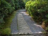 20130808-IMG 1787 : Arashiyama, Bamboo Grove, Japan, Kyoto, Shrine, Temple