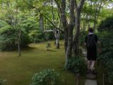 20130808-IMG 1796 : Arashiyama, Bamboo Grove, Japan, Kyoto, Shrine, Temple