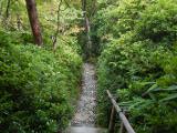 20130808-IMG 1816 : Arashiyama, Bamboo Grove, Japan, Kyoto, Shrine, Temple