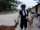 20130810-IMG 2034 : Deers, Japan, Lanterns, Nara, Shrine, Temple
