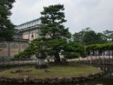 20130810-IMG 2057 : Deers, Japan, Lanterns, Nara, Shrine, Temple