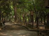 20130810-IMG 2073 : Deers, Japan, Lanterns, Nara, Shrine, Temple