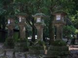 20130810-IMG 2075 : Deers, Japan, Lanterns, Nara, Shrine, Temple