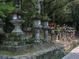 20130810-IMG 2098 : Deers, Japan, Lanterns, Nara, Shrine, Temple