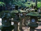 20130810-IMG 2099 : Deers, Japan, Lanterns, Nara, Shrine, Temple