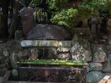 20130810-IMG 2129 : Deers, Japan, Lanterns, Nara, Shrine, Temple