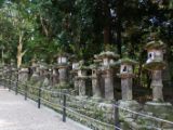 20130810-IMG 2132 : Deers, Japan, Lanterns, Nara, Shrine, Temple