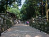 20130810-IMG 2135 : Deers, Japan, Lanterns, Nara, Shrine, Temple