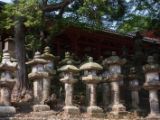 20130810-IMG 2145 : Deers, Japan, Lanterns, Nara, Shrine, Temple