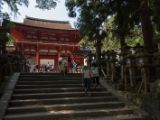 20130810-IMG 2147 : Deers, Japan, Lanterns, Nara, Shrine, Temple