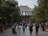 20130810-IMG 2276 : Deers, Japan, Lanterns, Nara, Shrine, Temple