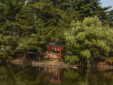 20130810-IMG 2278 : Deers, Japan, Lanterns, Nara, Shrine, Temple
