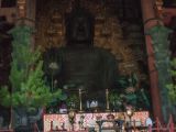 20130810-IMG 2298 : Deers, Japan, Lanterns, Nara, Shrine, Temple